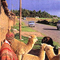 Peru image